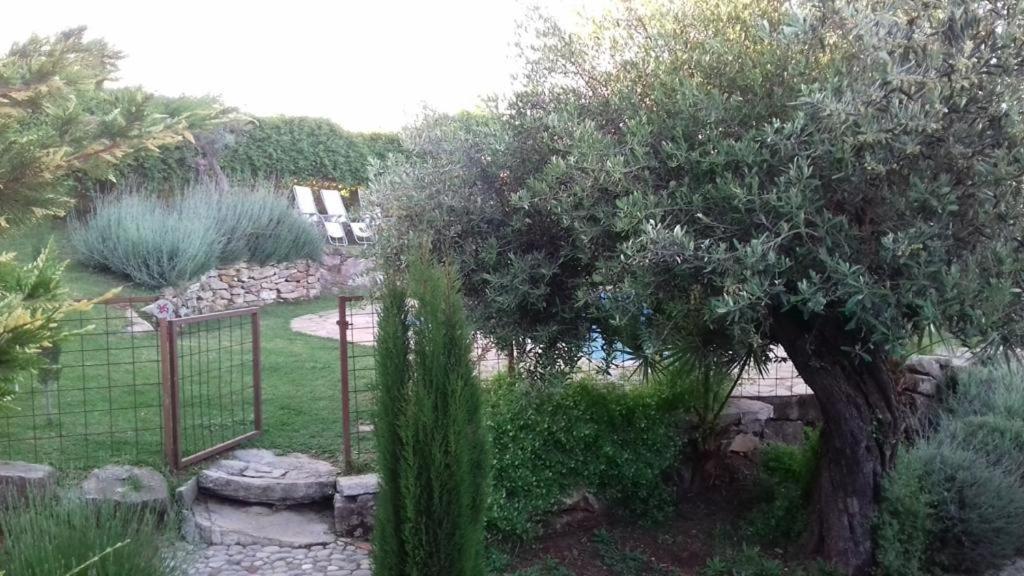 Casas De Almajar Villa Prado Del Rey Exterior photo