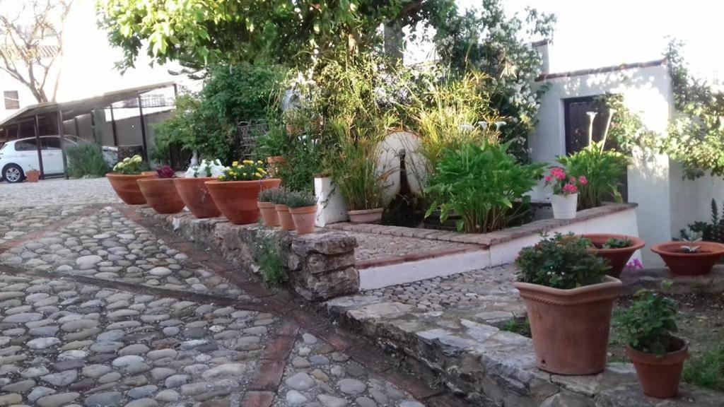Casas De Almajar Villa Prado Del Rey Exterior photo