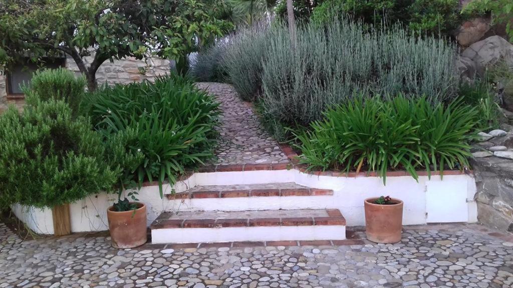 Casas De Almajar Villa Prado Del Rey Exterior photo