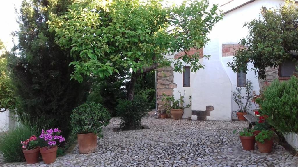 Casas De Almajar Villa Prado Del Rey Exterior photo